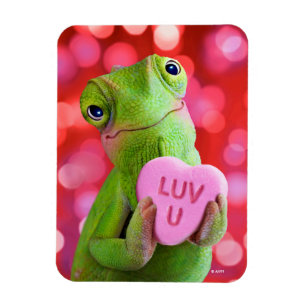 Chameleon Heart (Luv U) Magnet