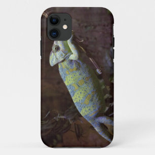 Chameleon iPhone 5 Case-Mate Case