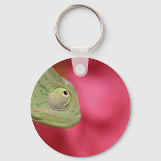 chameleon key ring