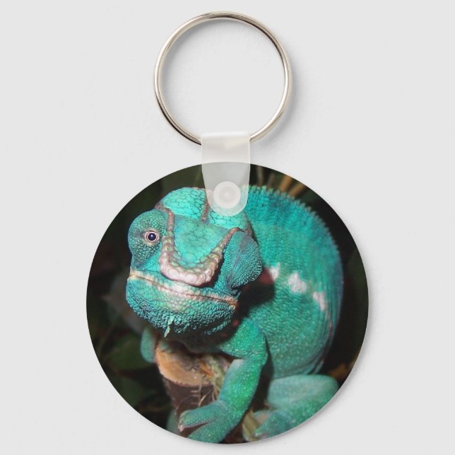 Chameleon Key Ring (Front)