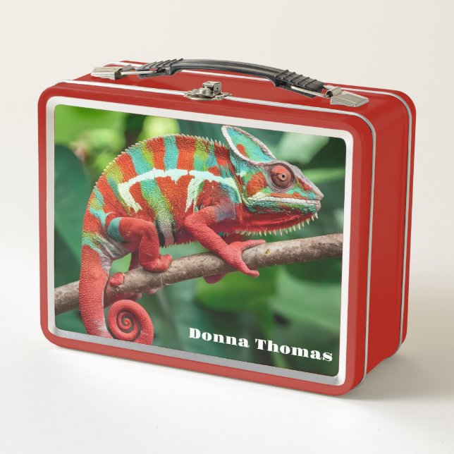 Chameleon  metal lunch box (Front)