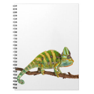 Chameleon Notebook