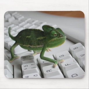 Chameleon on Keyboard Mouse Mat