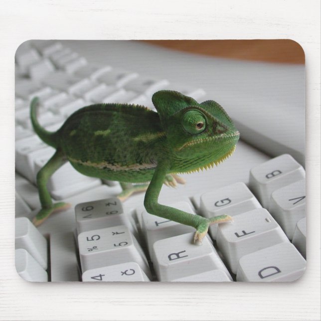 Chameleon on Keyboard Mouse Mat (Front)