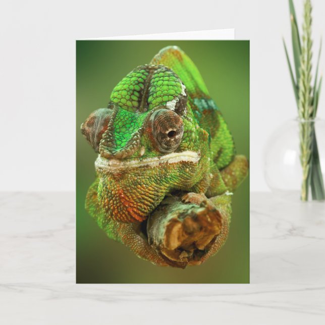 Chameleon Photo Card (Front)
