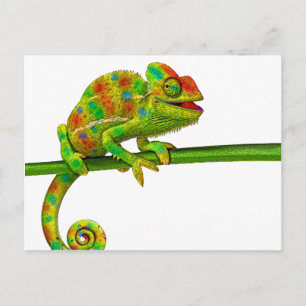 Chameleon Postcard