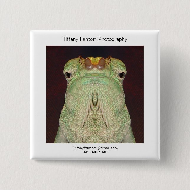 Chameleon Promo Piece 15 Cm Square Badge (Front)