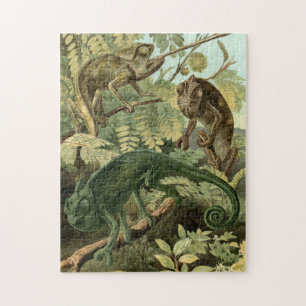 Chameleon Puzzle Vintage Illustration