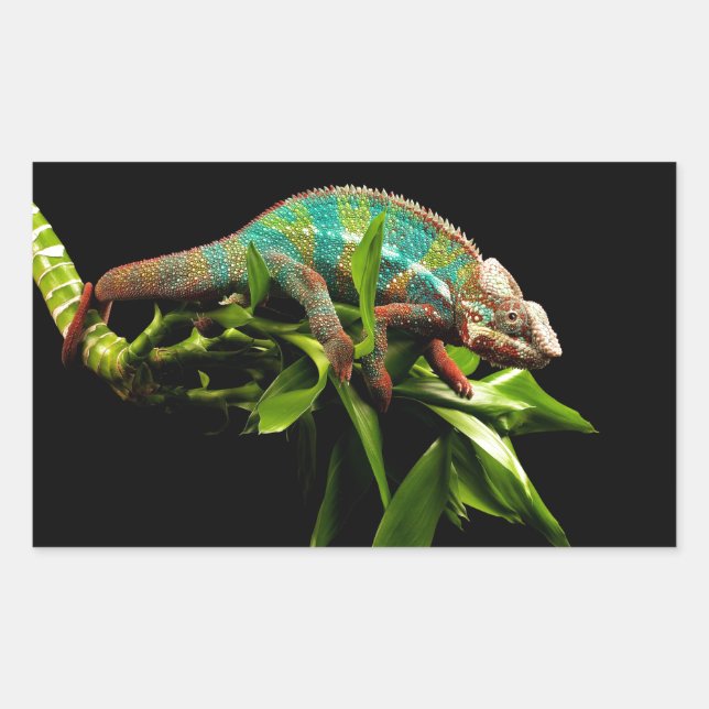 Chameleon Rectangular Sticker (Front)