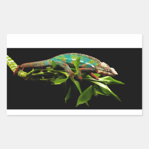 Chameleon Rectangular Sticker
