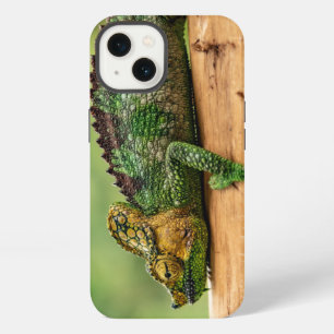 Chameleon, reptile, nature iPhone 13 case