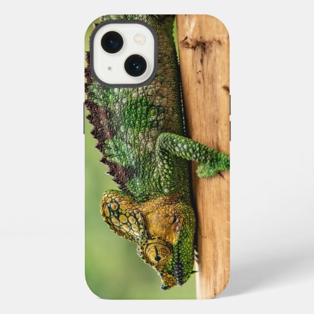 Chameleon, reptile, nature iPhone case (Back)