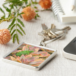 "CHAMELEON RESTING ON SUCCULENT PLANT" KEY RING