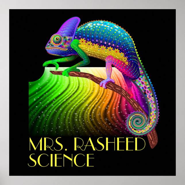 Chameleon / Science Teacher Poster (Front)