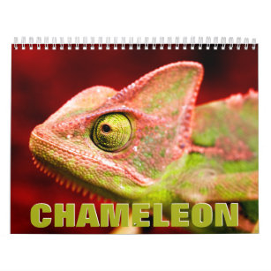 Chameleon Wall Calendar