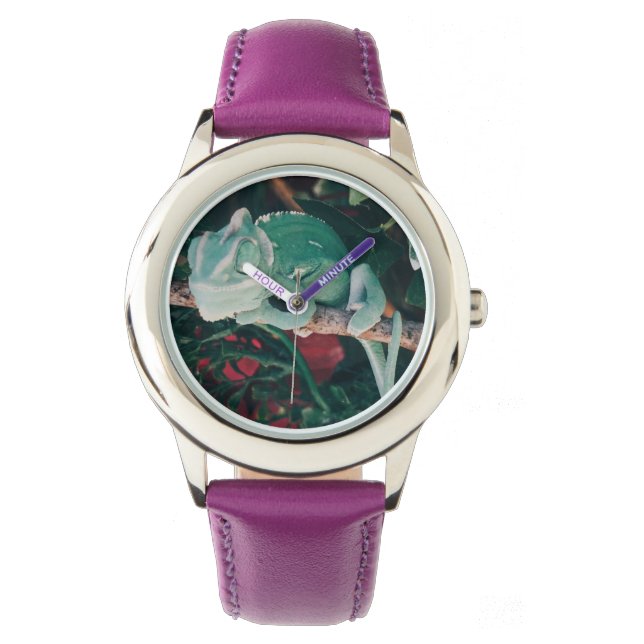 Chameleon Watch (Front)