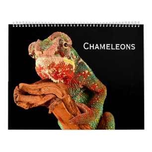 Chameleons Calendar