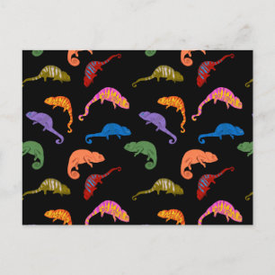 Chameleons Colourful Reptile Lizards Kids Postcard