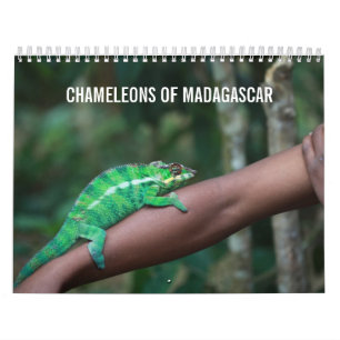 Chameleons of Madagascar Calendar