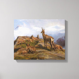Chamois Goats in Alpine Mountains (Rosa Bonheur) Canvas Print