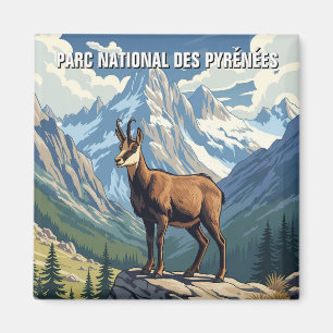 Chamois in France Pyrenees National Park Travel Magnet