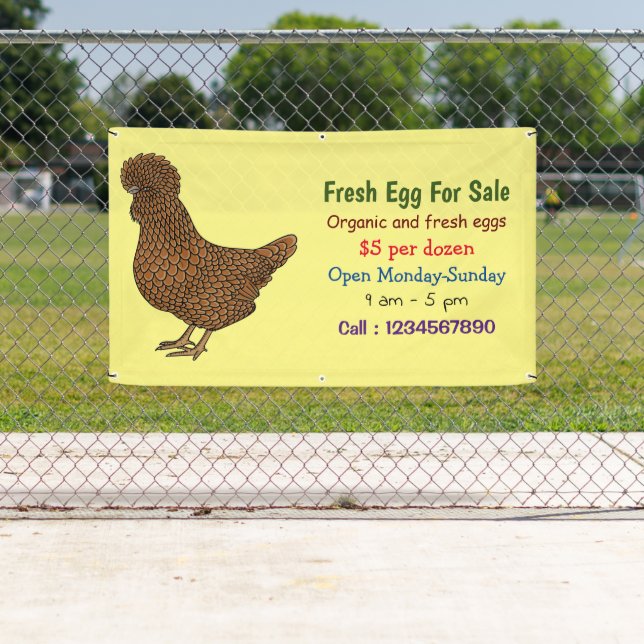 Chamois polish chicken fresh egg sign for sale (Insitu)