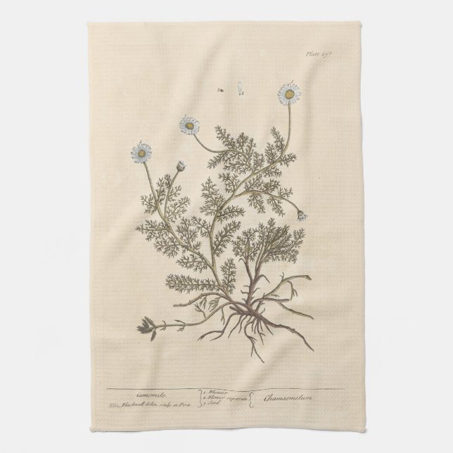 Chamomile by Elizabeth Blackwell Tea Towel (Vertical)