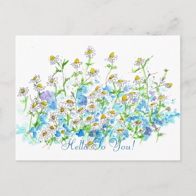 Chamomile Daisy Garden Hello To You Postcard (Front)