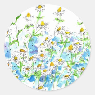 Chamomile Daisy Garden Herb Watercolor Classic Round Sticker