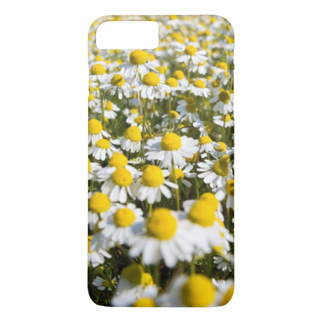 Chamomile Field, Hungary Case-Mate iPhone Case (Back)