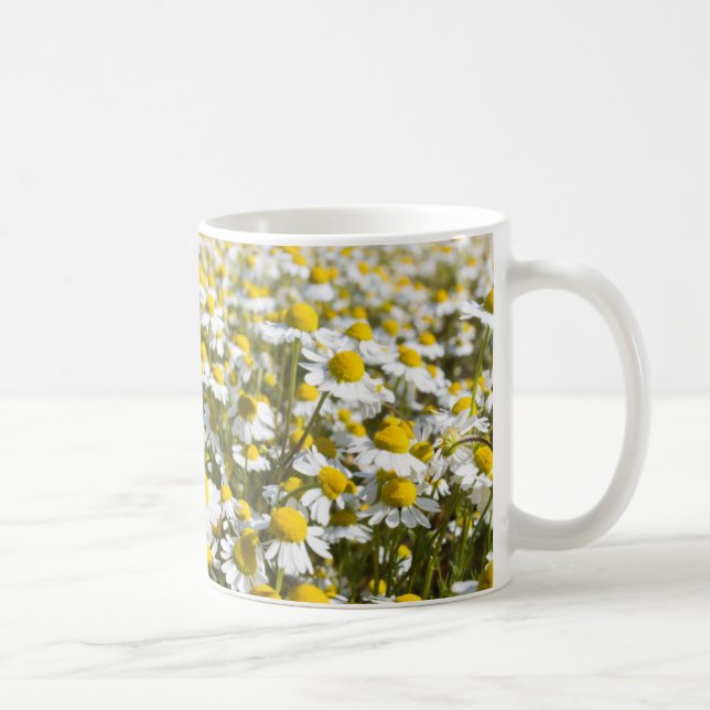 Chamomile Field, Hungary Coffee Mug (Right)