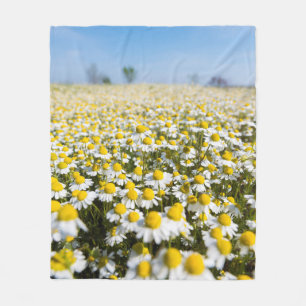 Chamomile Field, Hungary Fleece Blanket