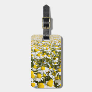 Chamomile Field, Hungary Luggage Tag