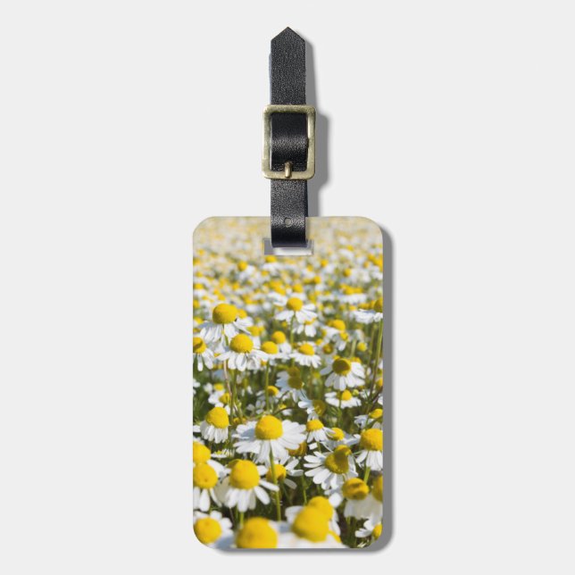 Chamomile Field, Hungary Luggage Tag (Front Vertical)