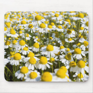 Chamomile Field, Hungary Mouse Mat