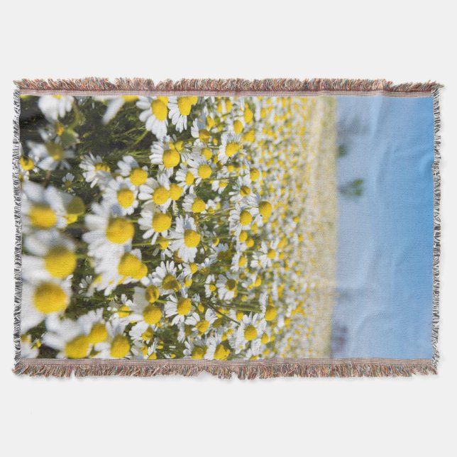 Chamomile Field, Hungary Throw Blanket (Front)