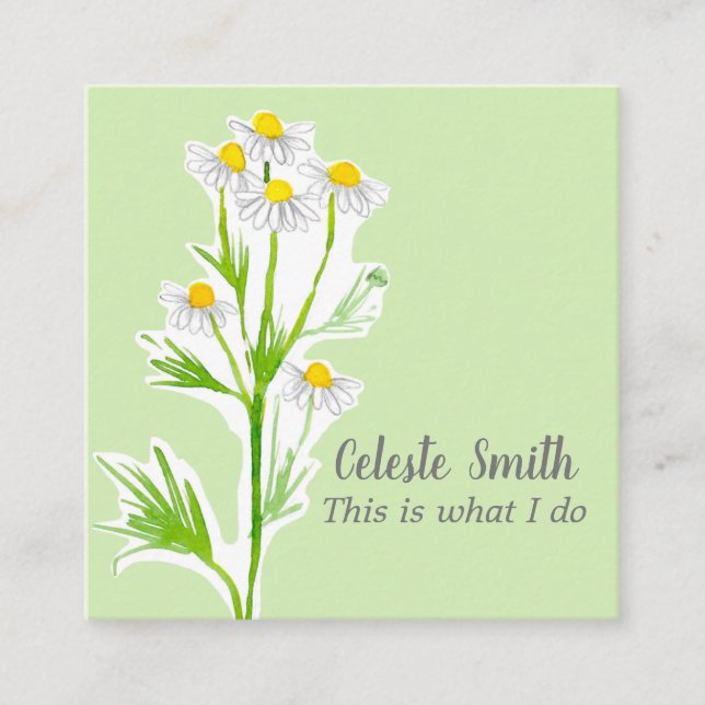 Chamomile Flower Herb Plant Illustration Green Square Business Card (Front)