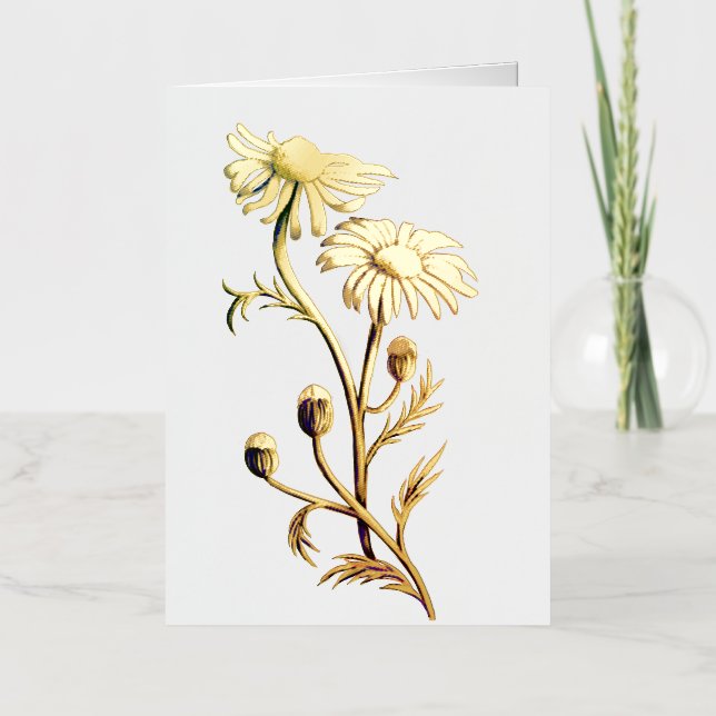 Chamomile Flower Themed Card (Front)