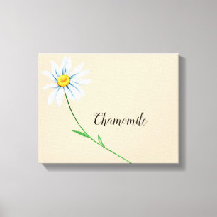 Chamomile Flower Watercolor Canvas Print