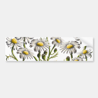 Chamomile Plant Magnet Bumper Sticker