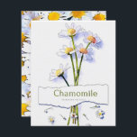 Chamomile vintage watercolor painting card<br><div class="desc">chamomile,  cute,  tea,  flowers,  floral,  summer,  nature,  flower,  spring,  daisy,  yellow,  botanical,  plants,  vintage,  aesthetic,  beautiful,  cottagecore,  feminine,  happy,  herbs,  natural,  pastel,  white, </div>