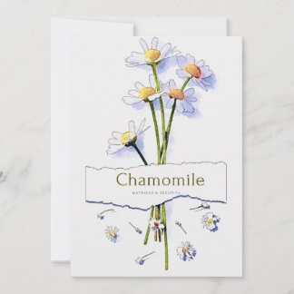 Chamomile vintage watercolor painting invitation