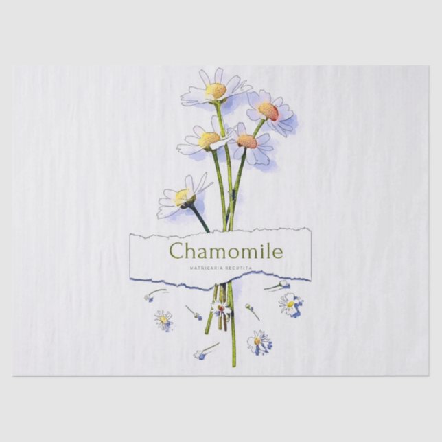 Chamomile vintage watercolour thermal tumbler post tissue paper (Front)