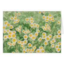 Chamomiles Card