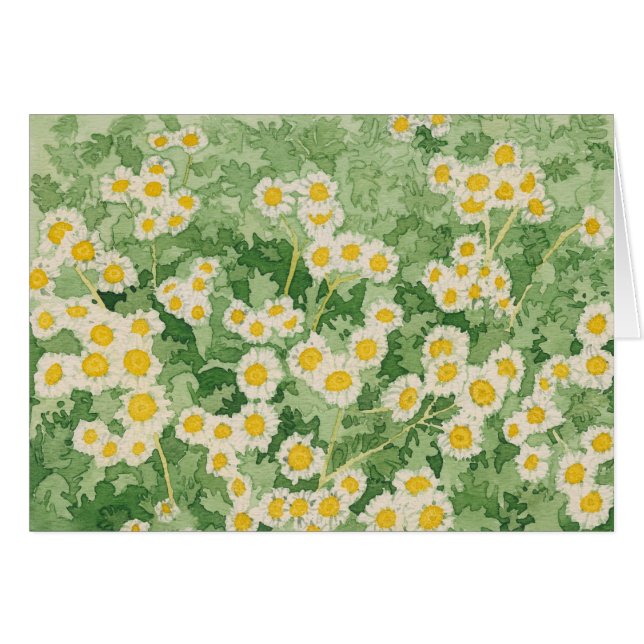 Chamomiles Card (Front Horizontal)