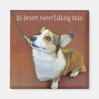 Champ leash magnet with text