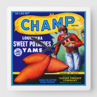Champ Sweet Potatoes