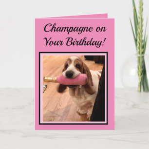 Champagne & Basset Hound On Funny Birthday Card