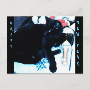 CHAMPAGNE BLACK CAT, NEW YEAR postcard
