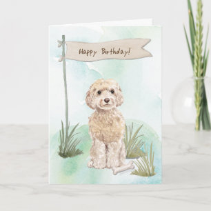 Champagne Cockapoo Dog Under Birthday Sign Card
